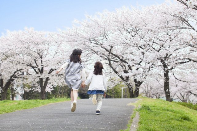 のんびり歩いて桜を見に行こう