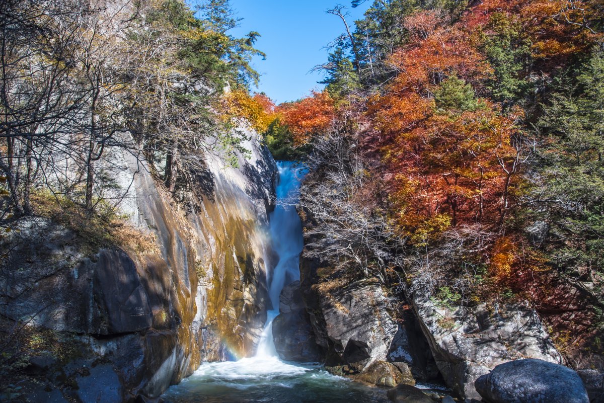 2019仙女湖_旅游攻略_门票_地址_游记点评,新余旅游景点推荐 - 去哪儿攻略社区