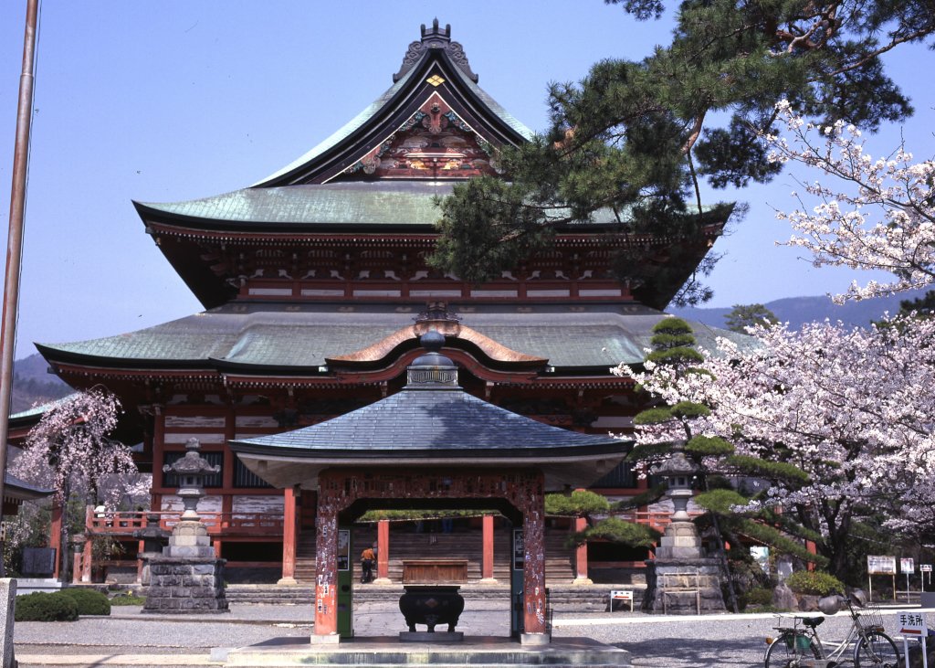 A visit to Kofu's most famous temple, Zenko-ji｜Sample