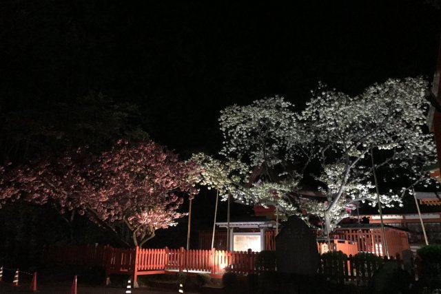 Kanazakura Shrine