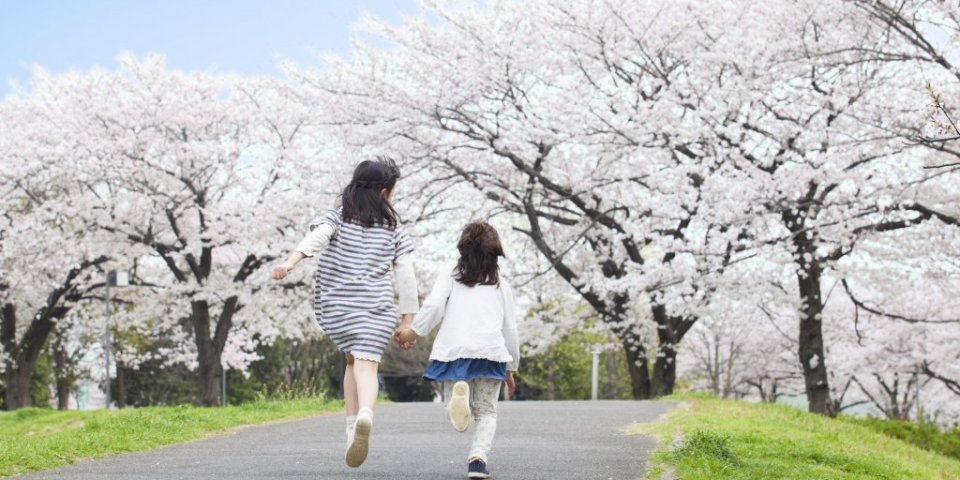 のんびり歩いて桜を見に行こう