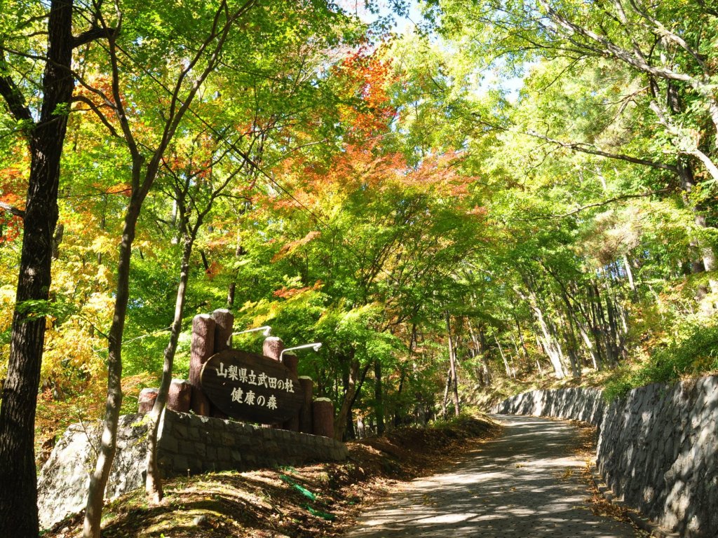 武田の杜　