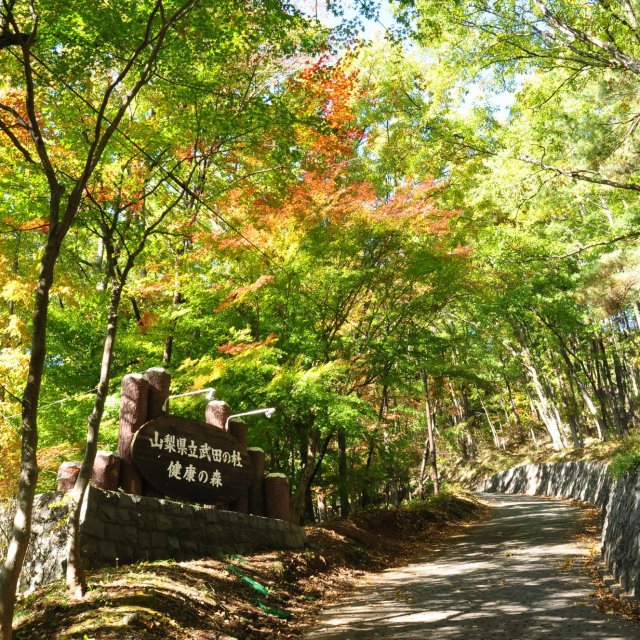武田の杜　