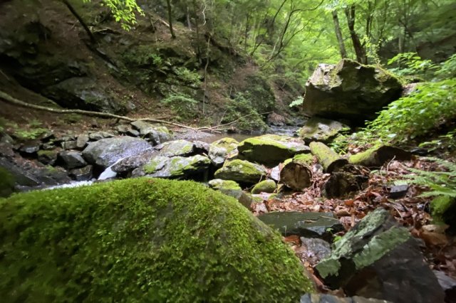 Otaki Waterfall in Itajiki Valley