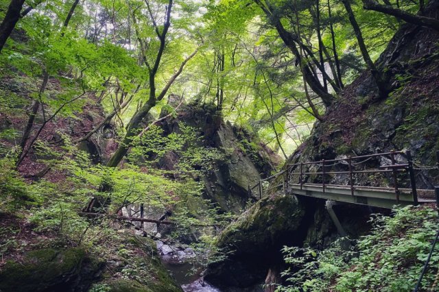 Otaki Waterfall in Itajiki Valley