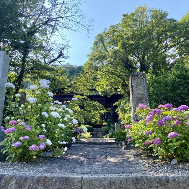 興因寺