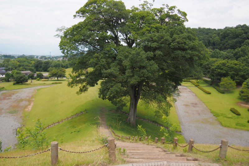 の 丘 公園 風土記