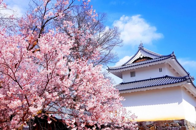 Maizuru Castle Park (Kofu Castle Ruins)