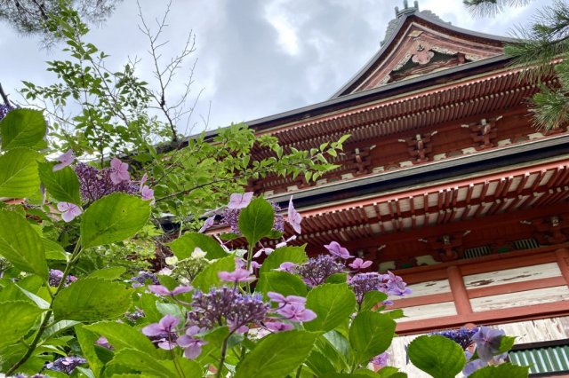 Kai Zenko-ji Temple