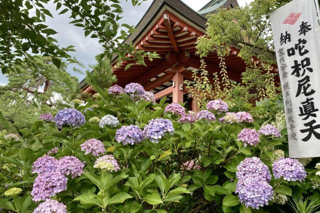 Kai Zenko-ji Temple