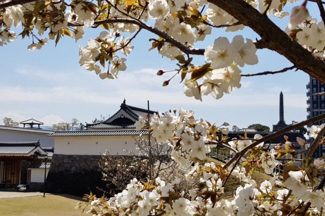 甲府市歴史公園