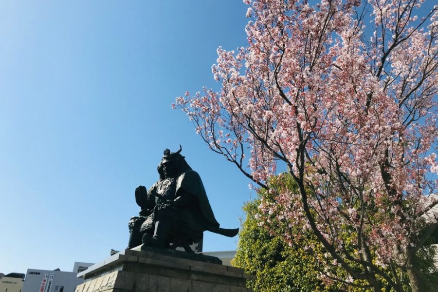 Statue Of Shingen Takeda Find Things To Do In Kofu Visit Kofu Official Tourism Website For Kofu City