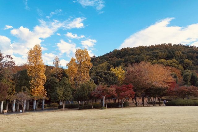 【スタート】山梨県立考古博物館【予約制 体験メニュー有り】