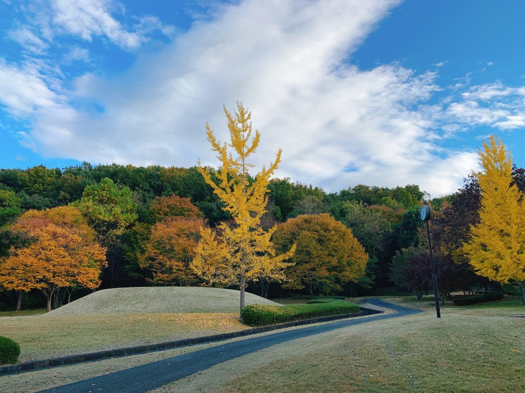 曽根丘陵公園（風土記の丘）