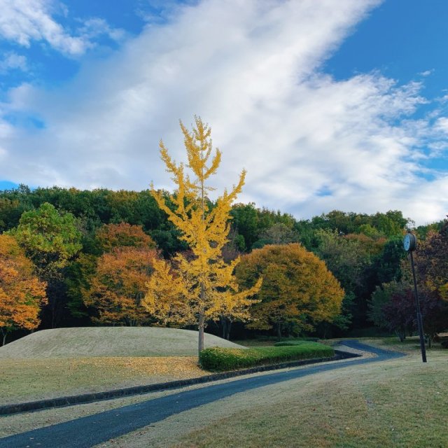 曽根丘陵公園（風土記の丘）