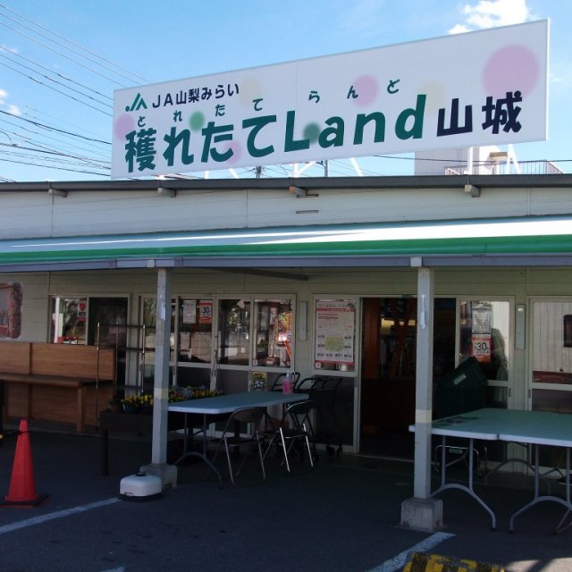 JA甲府市直売所獲れたてLand山城店