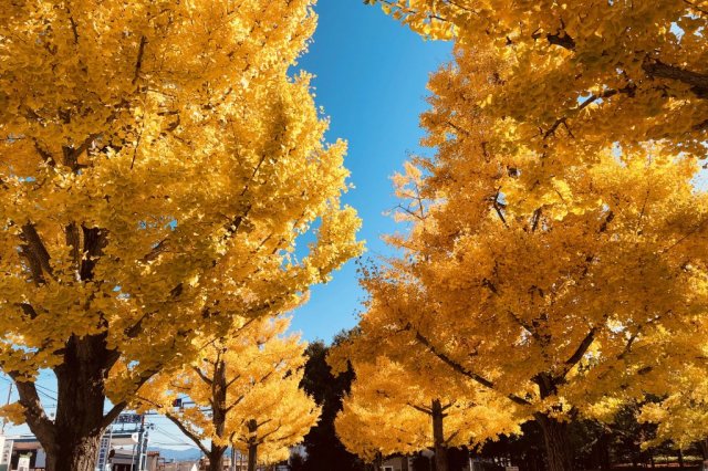 Yamanashi Prefectural Museum of Art