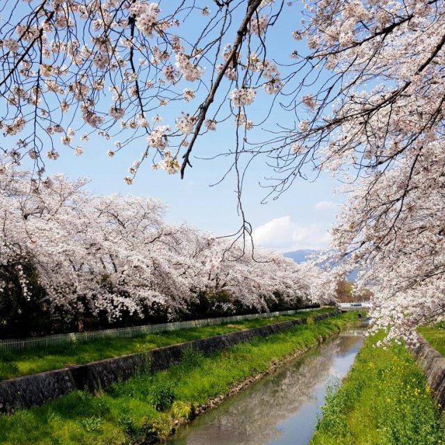小瀬スポーツ公園