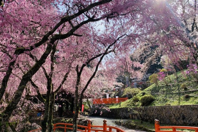 Kanazakura Shrine