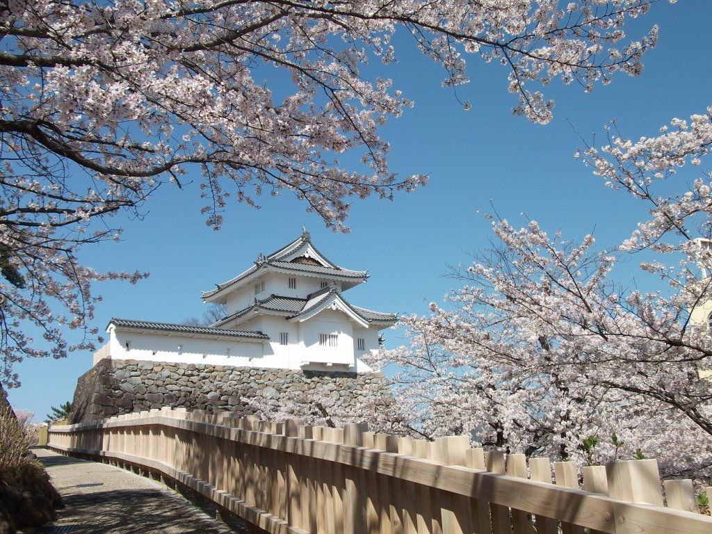 舞鶴城公園（甲府城跡）