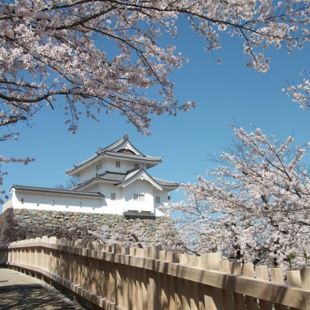 舞鶴城公園（甲府城跡）