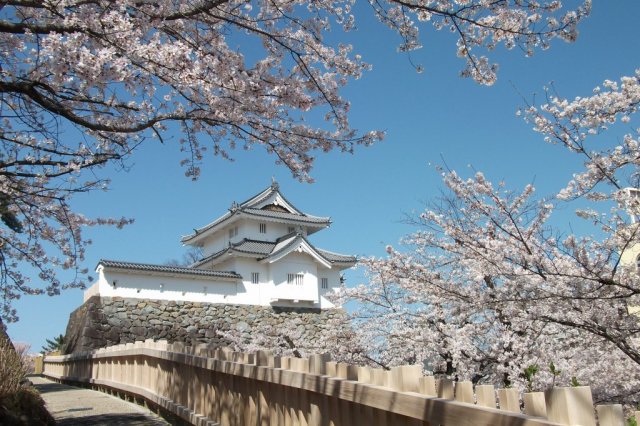 Maizuru Castle Park (Kofu Castle Ruins)