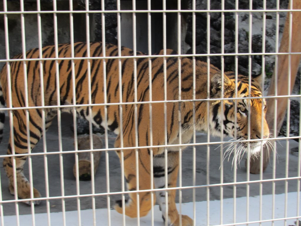 甲府市遊亀公園附属動物園