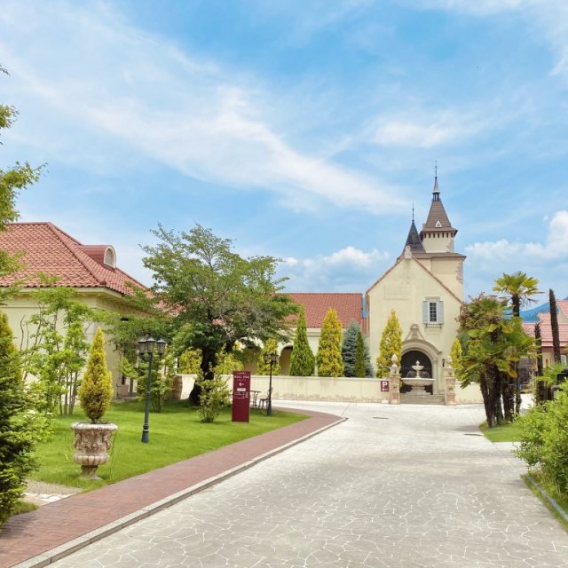 Kofu winery tour including wine tasting and lunch