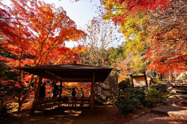 紅葉を見に昇仙峡へ行きませんか【甲府駅から路線バス編　1日ゆっくり散策コース】