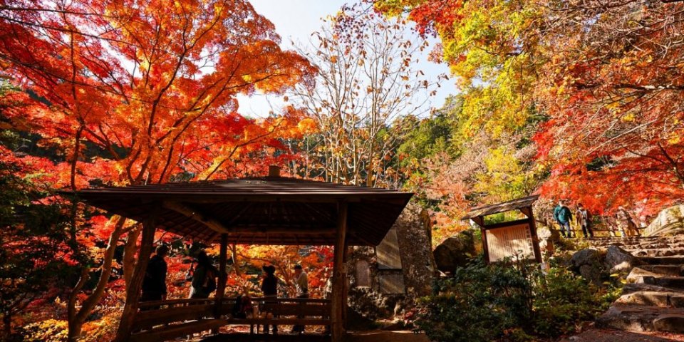 紅葉を見に昇仙峡へ行きませんか【甲府駅から路線バス編　1日ゆっくり散策コース】