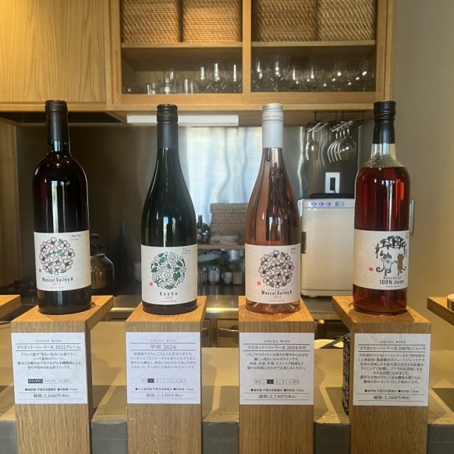 SPRING WINE