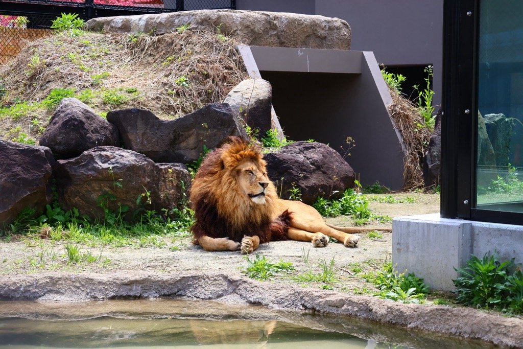 甲府市遊亀公園附属動物園