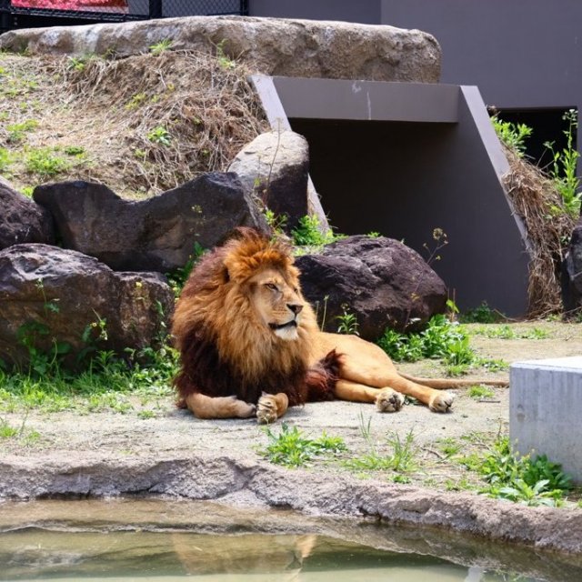 甲府市遊亀公園附属動物園