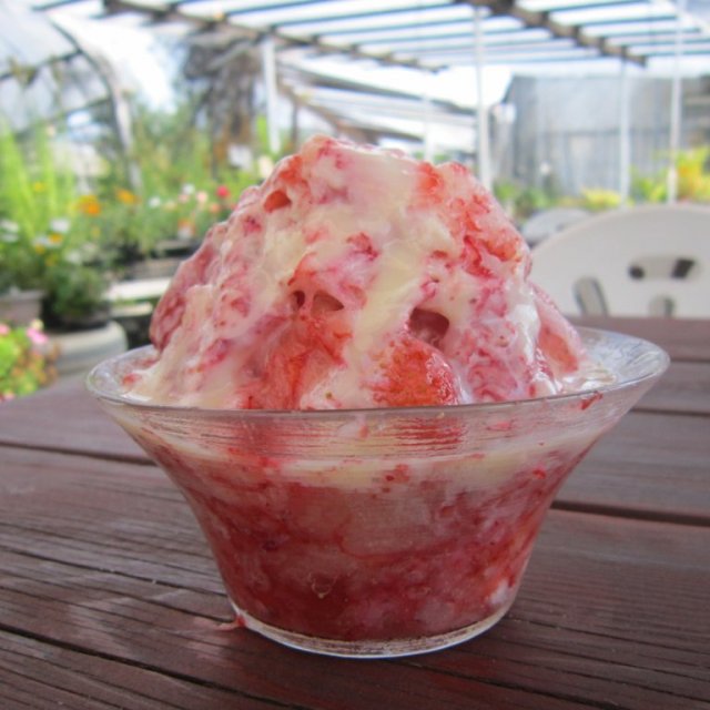 Hijikata Yoran Strawberry Garden