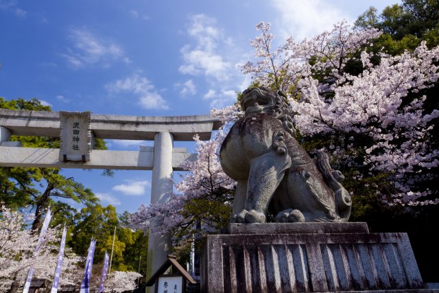 【1日目】武田神社