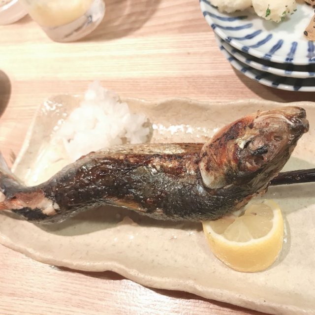 酒場日々