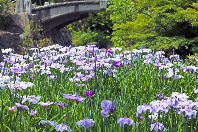 山梨県立美術館