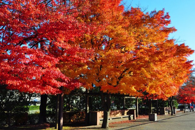 小瀬スポーツ公園