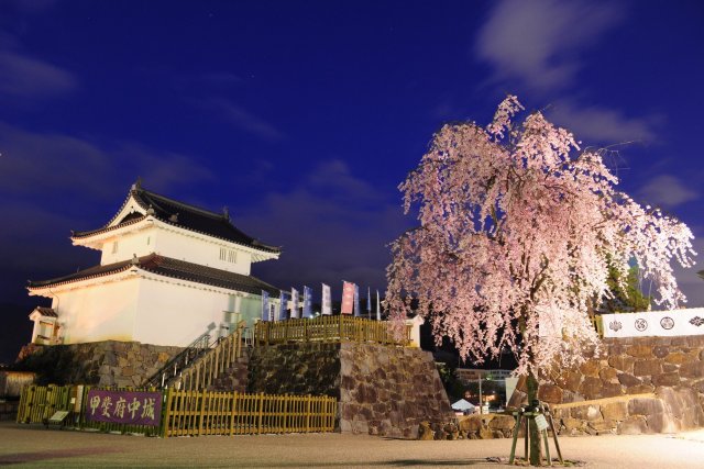 【DAY 2】Maizurujo Park (Kofu Castle Ruins)