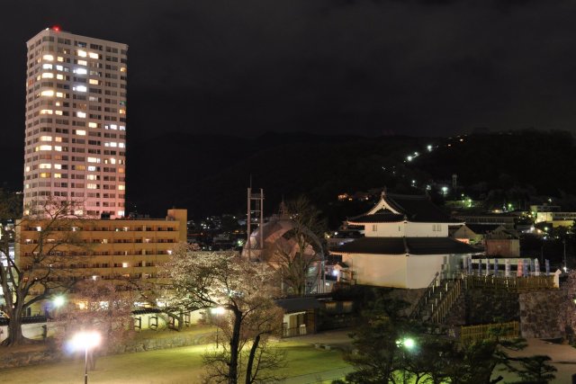 舞鶴城公園（甲府城跡）