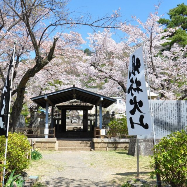 Grave of Takeda Shingen