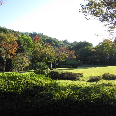 山梨県立考古博物館