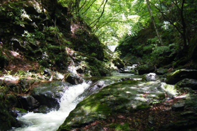 Otaki Waterfall in Itajiki Valley