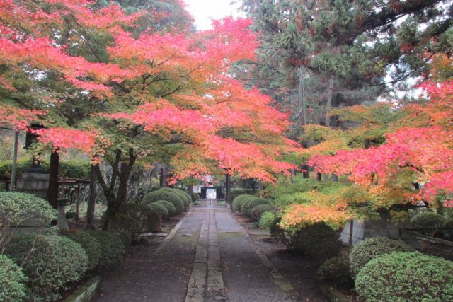 大泉寺