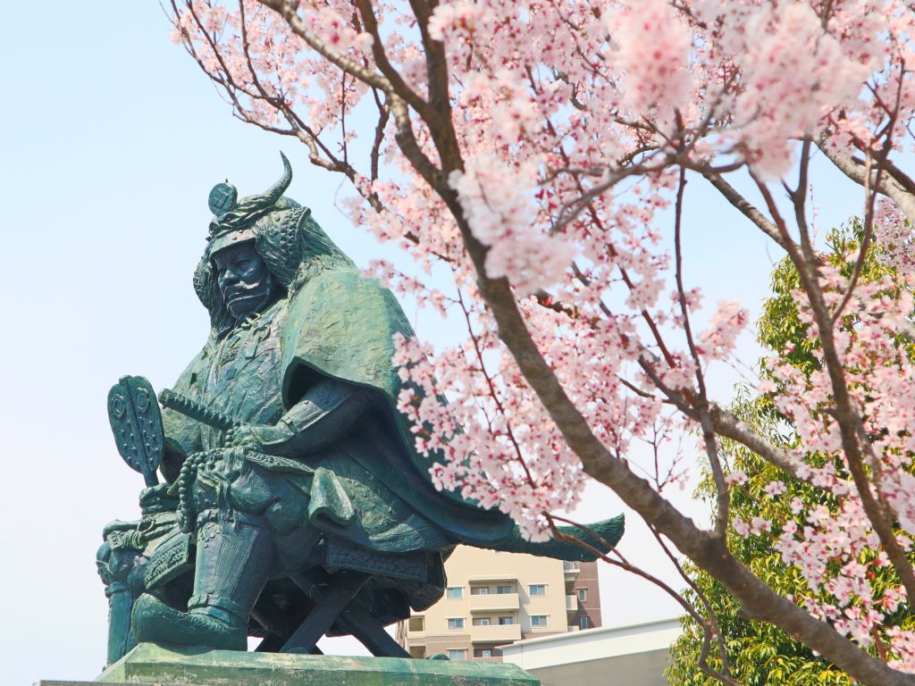 桜の名所・お花見スポット