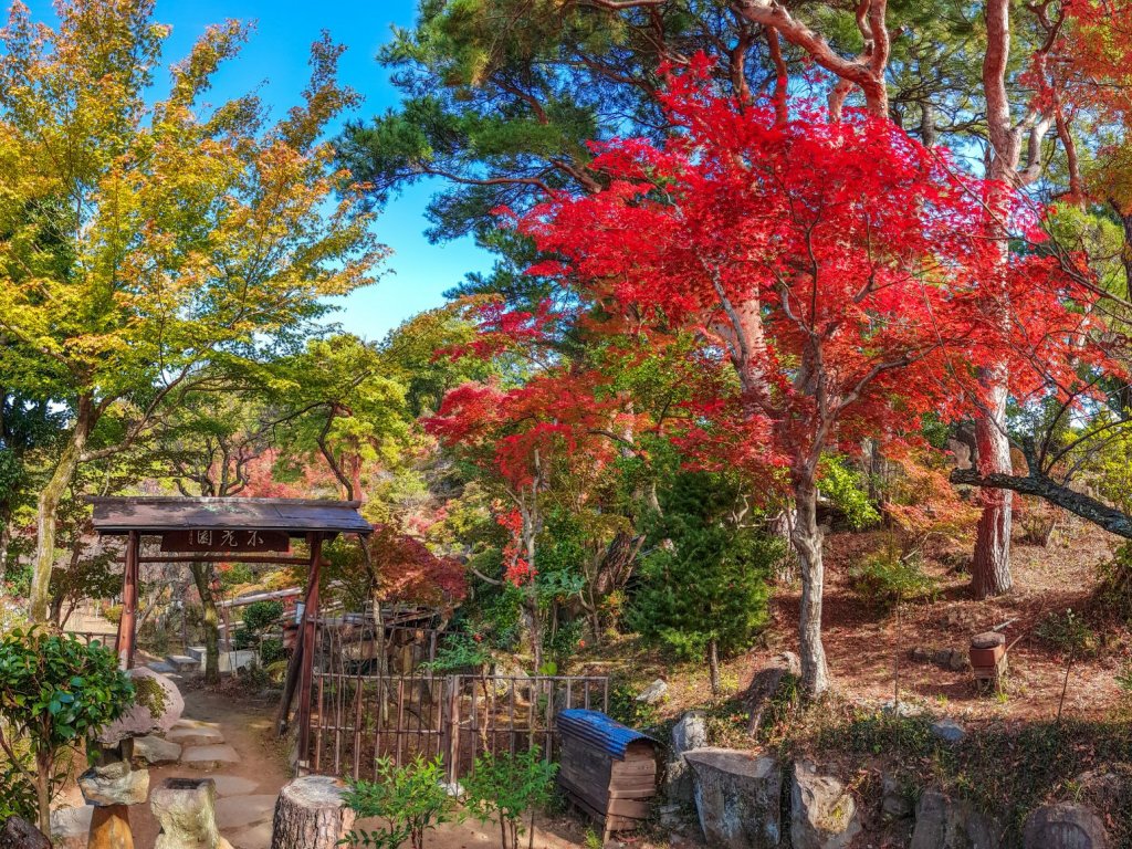 秋の甲府を満喫！紅葉スポット