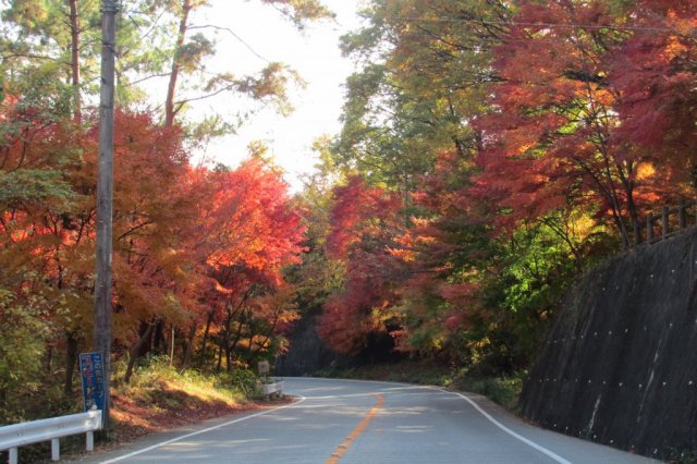 和田峠（紅葉街道）