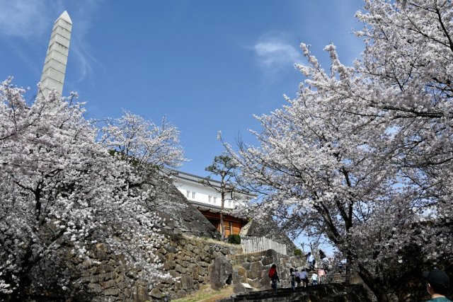 舞鶴城公園（甲府城跡）