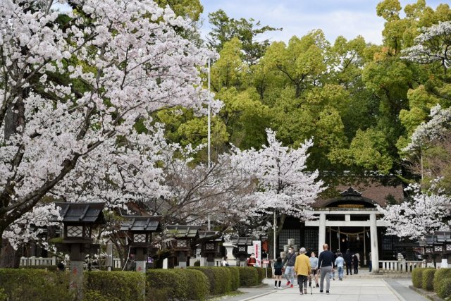 武田神社