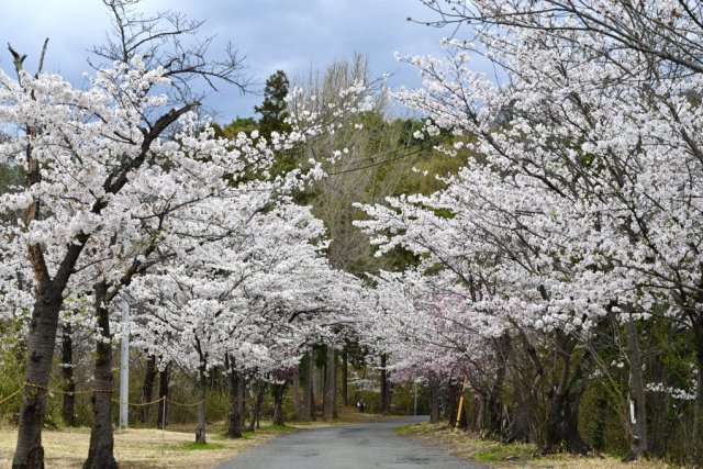 山梨県護國神社